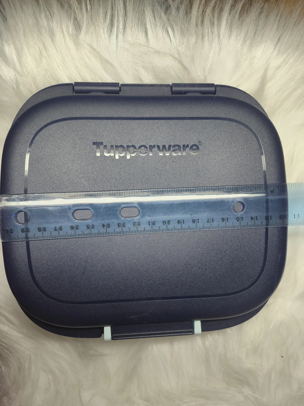 Tupperware Navy Blue Lunch Box with Mint Green Latch